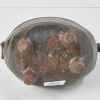 A Juliet Peter Flower Horse Planter - 2