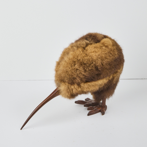 A Life Size Possum Fur Kiwi