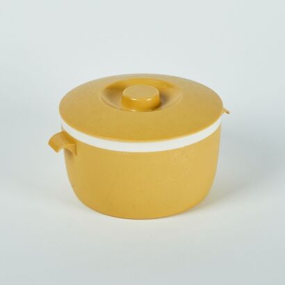 A Plastic Mustard Casserole Dish