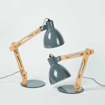 A Pair of Modern Design Adjustable Bedside Lamps