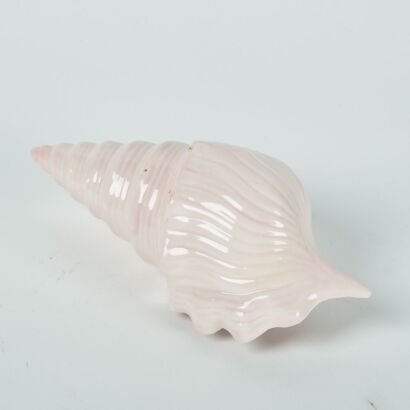 A Pink Shell Planter