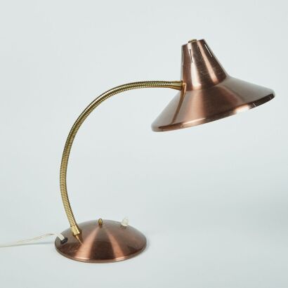 A Vintage Gooseneck Lamp