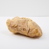 A Kauri Gum Nugget 2.694kg