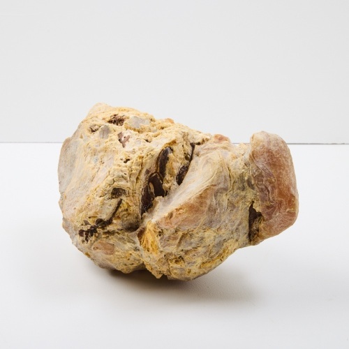 A Kauri Gum Nugget 3.846kg