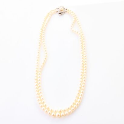 Vintage, Mikimoto Double Strand Necklace /13mm Silver Clasp with Box and Paperwork