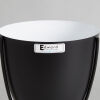 An Edward Planter Black - 3