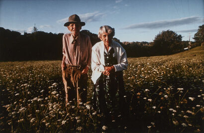 JOHN MCDERMOTT untitled