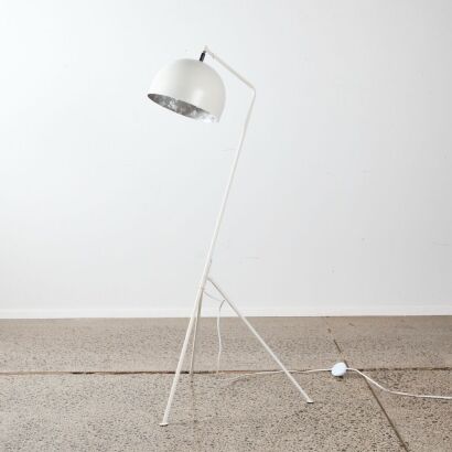 A Grasshopper Floor Lamp