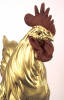 Rangy the Roving Rooster, by Anah Dunsheath - 2