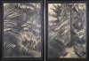 RODNEY FUMPSTON untitled - 2