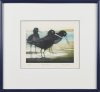 JOAN TAYLOR Oyster Catcher - 2