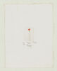 JOANNA PAUL Tall Poppy