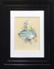 MERILYN JACQUERIE NZ Rifleman (Male)