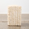 A Fossil Stone Pedestal - 2
