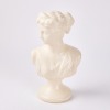 A Plaster Bust Of Aphrodite