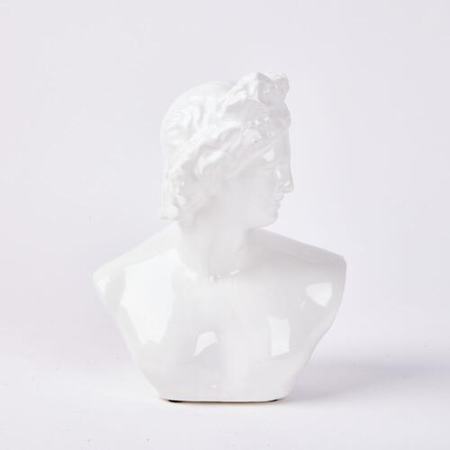 A Classical Style Bust