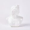 A Classical Style Bust
