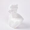A Classical Style Bust - 2
