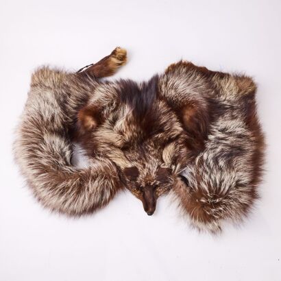 A Silver Fox Fur