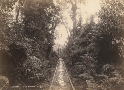 F.A Coxhead - Greymouth, Kumara Tramway