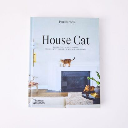 House Cat by Paul Barbera