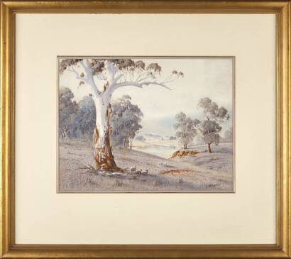 Birch Tree Watercolour Painting by V.R. Watt