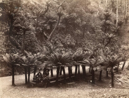 Photographer Unknown - Allee saw Farren, Hobart