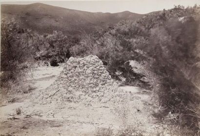 Burton Bros - Mud Cone Near Whakarewarewa