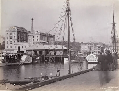 Photographer Unknown - Auckland from Wharf