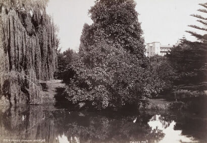 Elizabeth Pulman - Fish Ponds, Auckland Domain 