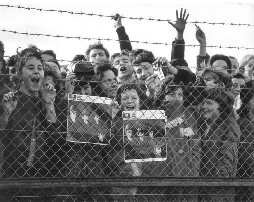 D Sache - Beatles Fans in New Zealand 