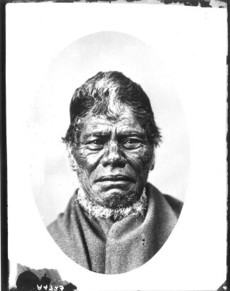 Photographer Unknown - An Unknown Māori Man with Moko