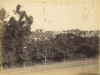 Photographer Unknown - A View of Auckland Hospital 