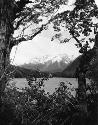 UNKNOWN PHOTOGRAPHER Looking South from Lake Gunn towards Livingstone Range, South Island, New Zealand