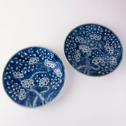 A pair of Chinese Qing dynasty blue and white 'blossom' plates