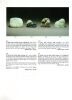A Chinese 18th century jade 'melon' Carving - 3