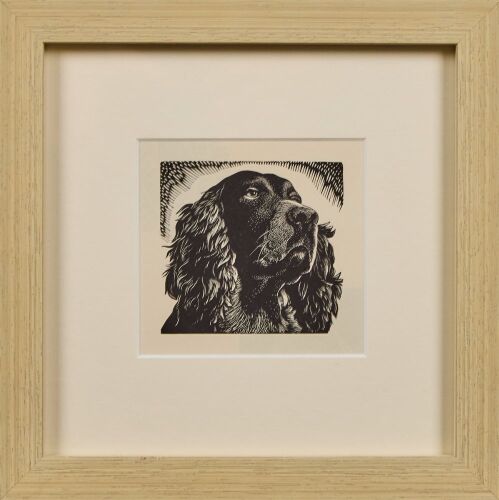 E. MERVYN TAYLOR Spaniel