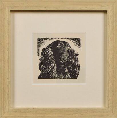 E. MERVYN TAYLOR Spaniel