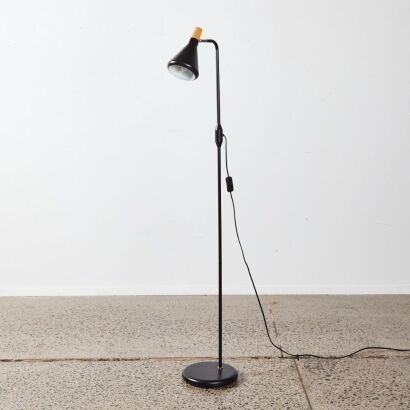 A Modern Design Black Floor Lamp