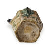 A Chinese Liao Dynasty Tri-colour Brush Washer carved two lions (chip on lion's head) - 3