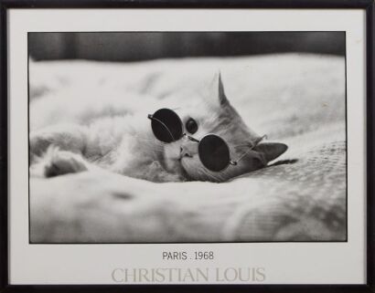 A Christian Louis Paris 1968 Cat With Glasses Framed Print