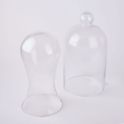 A Pair of Glass Domes