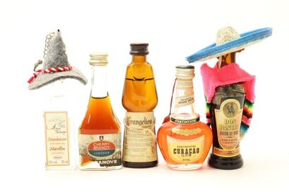 (1) Mixed Liquor Miniatures, 5 Bottles Sold as One Lot