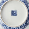 A Chinese Blue and White Famille Rose Saucer decorated with flower and bird (Da Qing Qianlong Nian Zhi Mark) - 2