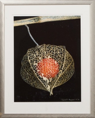 SYLVIA HARPER untitled