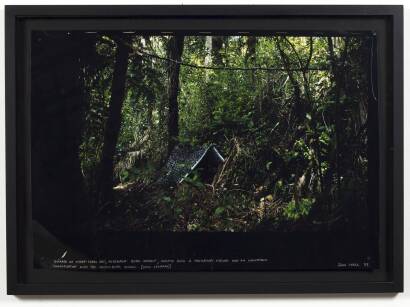 JOHN LYALL Towards an Hyper-Feral Art, Aotearoa: Zero Impact; Despite both a predatory nature and an uncertain conversation with the Heidelberg School. (Snow Leopard)