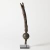 A Snake Rattle - 3