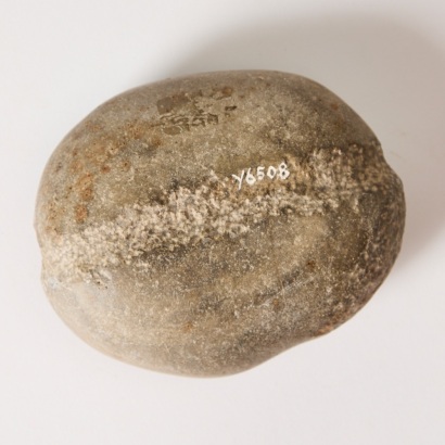 A Māhē Stone Sinker, Aotearoa