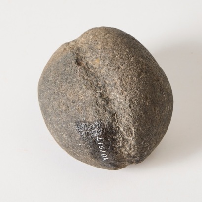 A Māhē Stone Sinker, Aotearoa