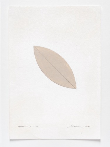JULIA MORISON Vademecum II / 023